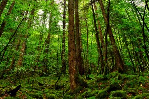 推荐教程“手机上打麻将外卦软件”(确实是有挂)-知乎!