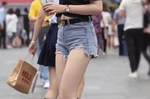 推荐一款“蜀渝牌乐汇辅助器苹果版”分享装挂步骤