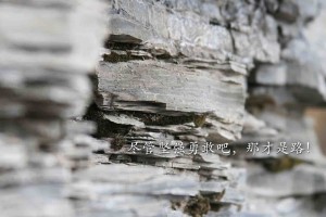 介绍一款“微乐南昌麻将万能开挂器”教你开挂详细