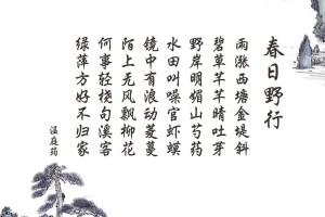 分析实测“微信微乐麻将小程序必赢神器免费”(确实是有挂)-知乎!