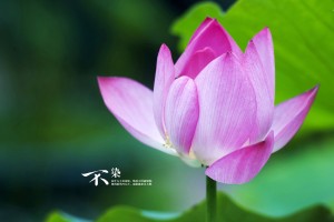 玩家实测“微信小程序微乐斗地主免费挂”(确实是有挂)-知乎!