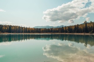 终于找到"微乐斗地主到底有没有挂”附开挂脚本详细步骤