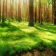  实测分析“微乐四川麻将小程序必赢神器免费安装”(详细辅助教程)