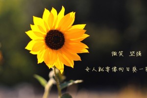 今日教程“微信微乐跑得快必赢软件”附开挂脚本详细步骤