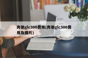 奔驰glc300费用(奔驰glc300费用及图片)