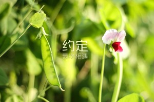 终于找到"微信上天天斗地主有挂吗”全程揭秘开挂教程