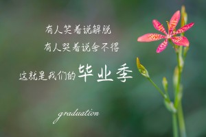 介绍一款“微乐山西麻将怎么提高游戏好牌胜率(外卦神器下载)