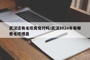 武汉还有毛坯房交付吗/武汉2020年有哪些毛坯楼盘
