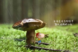 科普知识“浙江游戏大厅有没有挂”(详细辅助教程)