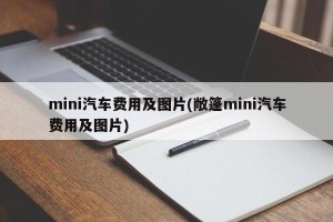 mini汽车费用及图片(敞篷mini汽车费用及图片)