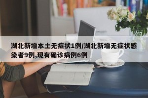 湖北新增本土无症状1例/湖北新增无症状感染者9例,现有确诊病例6例