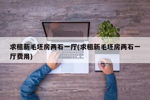 求租新毛坯房两石一厅(求租新毛坯房两石一厅费用)
