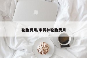轮胎费用/米其林轮胎费用