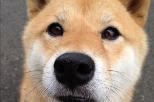 玩家点评“财神十三张开挂的软件”详细教程辅助工具