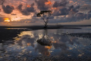 分享干货“圣盛宜昌花牌怎么开挂”附开挂脚本详细教程-知乎