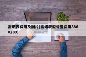 雷诺表费用及图片(雷诺表型号查费用8860209)