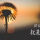 必看科普“雀神广东麻将开挂神器”爆光开挂猫腻