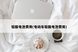 铅酸电池费用(电动车铅酸电池费用)