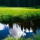 今日分测“雀神广东麻将小程序免费开挂器下载安装”(确实是有挂)-知乎!