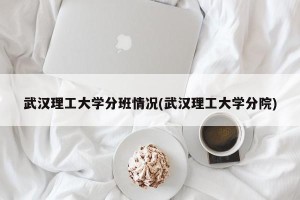 武汉理工大学分班情况(武汉理工大学分院)