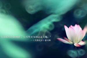 必看科普“雀神广东麻将开挂器下载微信”教你开挂详细